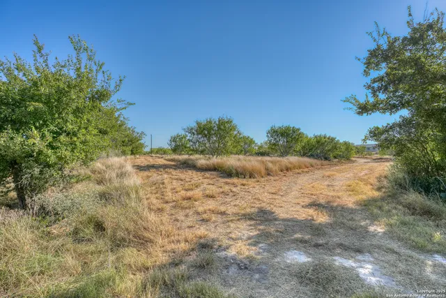 a view of a yard with a tree