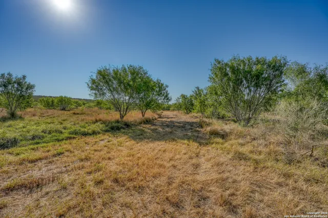 a view of a yard with a tree