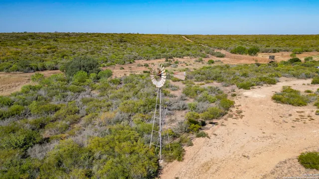 a view of a large yard with lots of green space