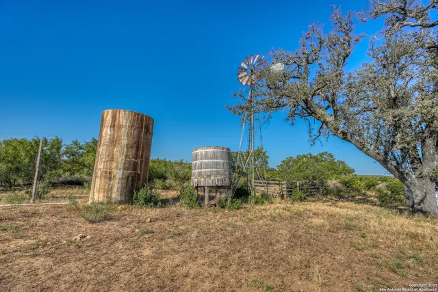a view of a yard with plants and a bench