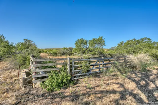 a view of a yard with trees
