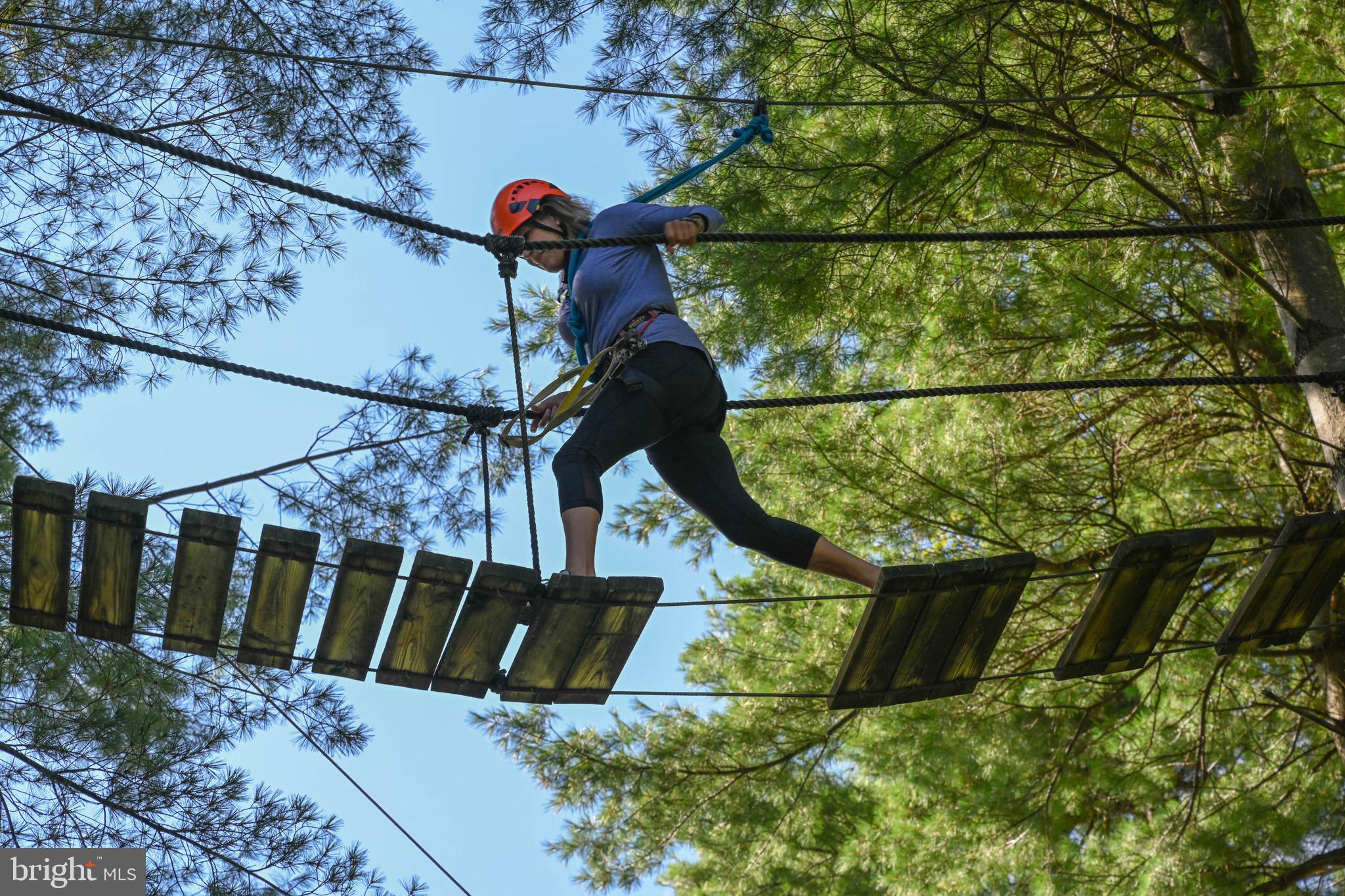 47 Fern Loop Oakland, MD 21550 - Photo 16 of 29