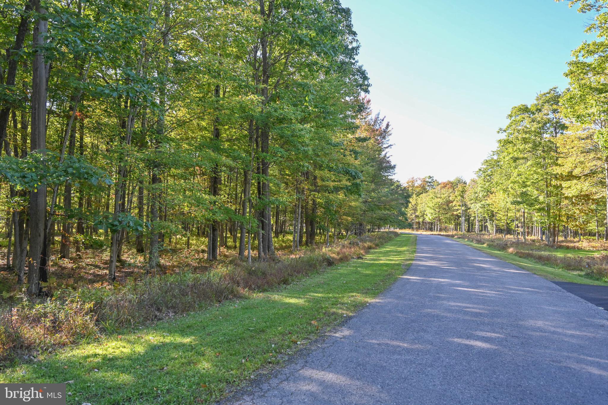 47 Fern Loop Oakland, MD 21550 - Photo 2 of 29 a view of a yard with plants and trees