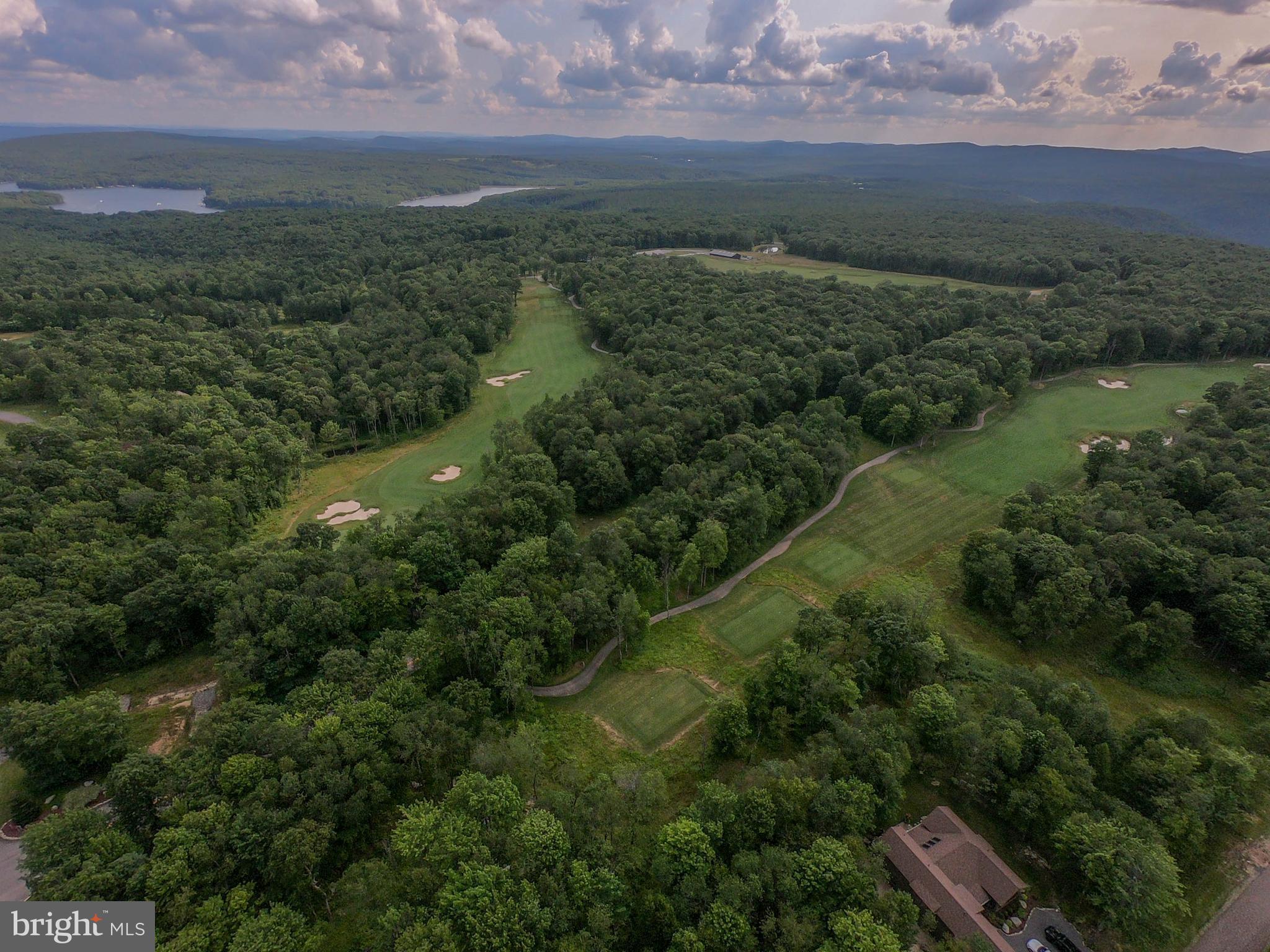 47 Fern Loop Oakland, MD 21550 - Photo 28 of 29 an aerial view of residential houses with outdoor space and trees