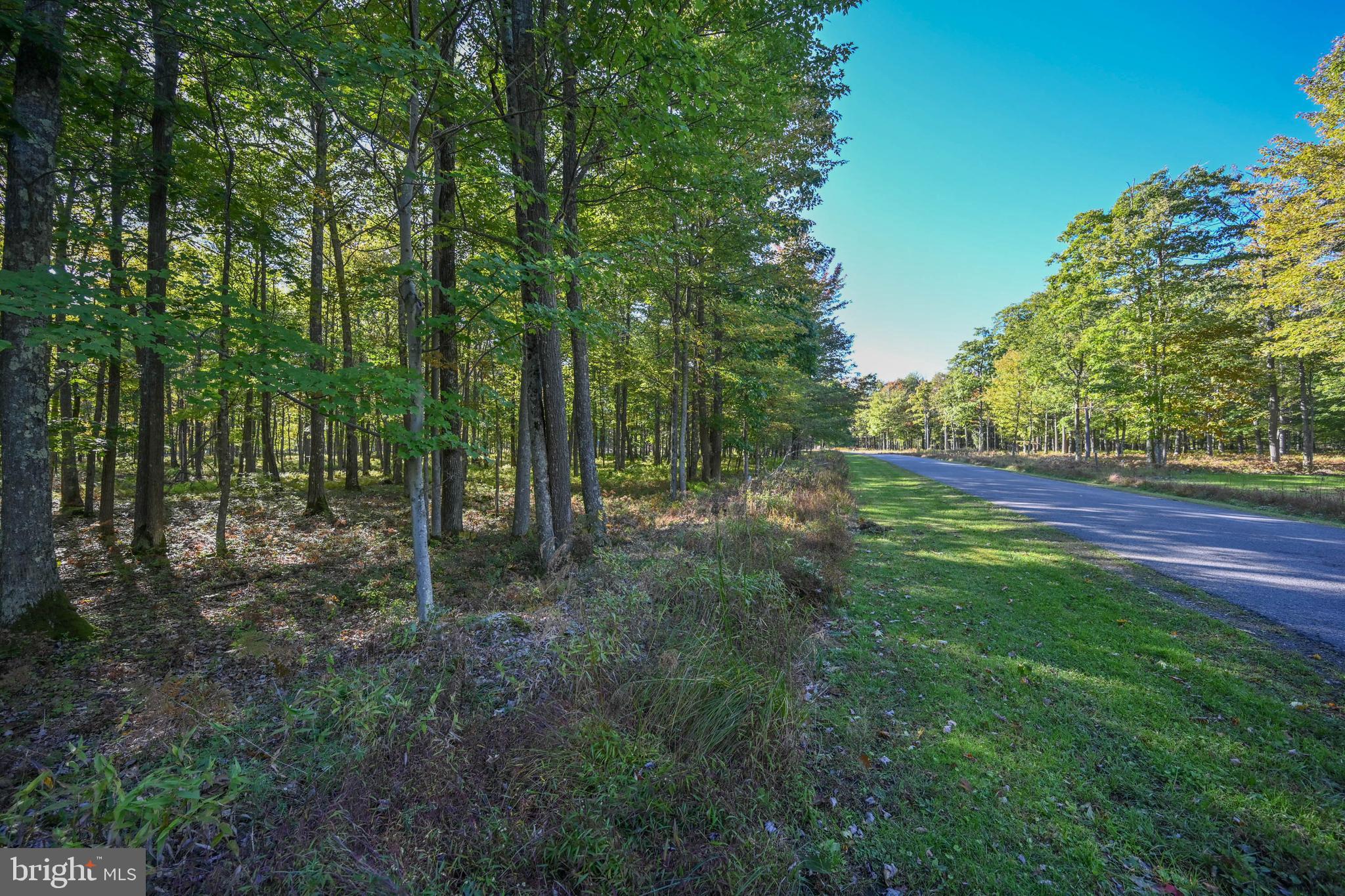 47 Fern Loop Oakland, MD 21550 - Photo 10 of 29 a view of outdoor space and yard