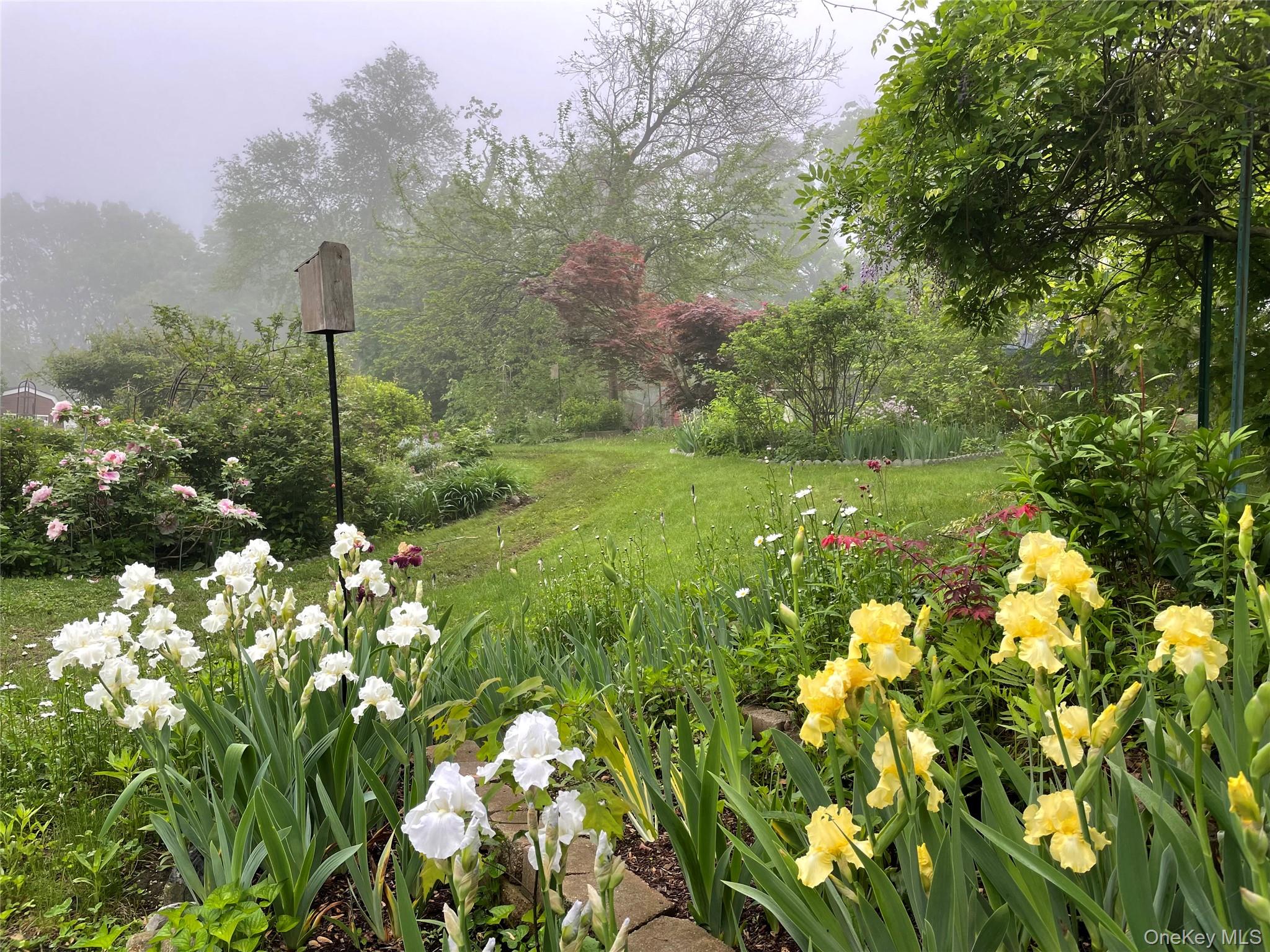 33 Fulmar Road Mahopac, NY 10541 - Photo 32 of 45 Yard 2025.