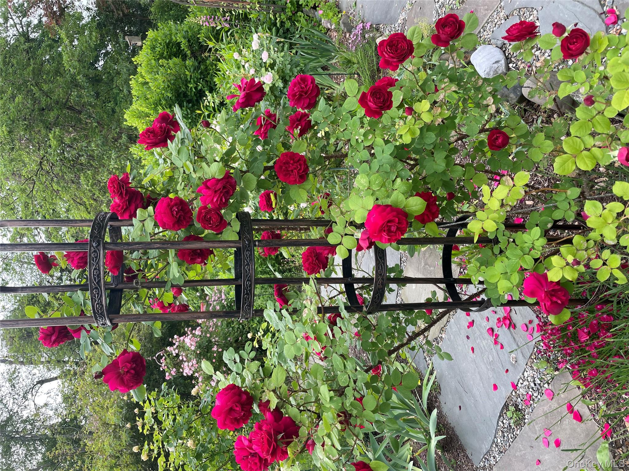 33 Fulmar Road Mahopac, NY 10541 - Photo 33 of 45