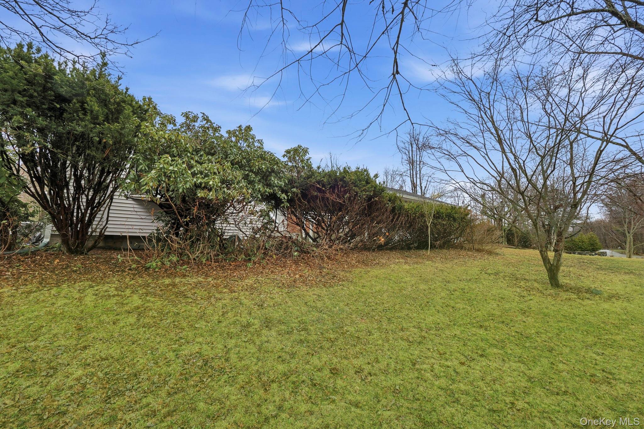 33 Fulmar Road Mahopac, NY 10541 - Photo 40 of 45 Back yard.