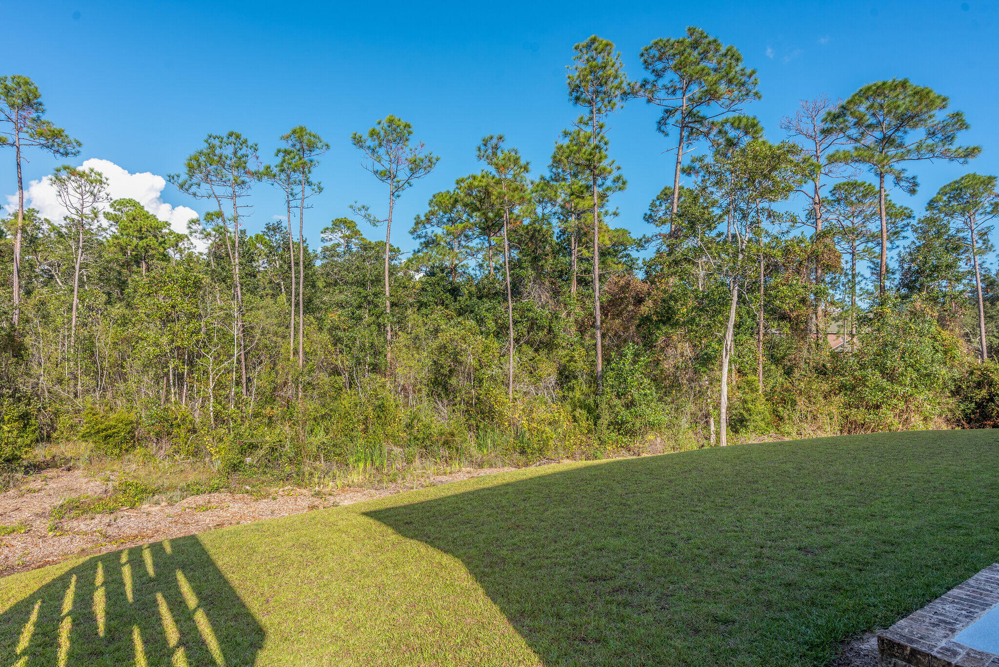 8640 Sand Pine Drive Navarre, FL 32566 - Photo 39 of 58 a view of a yard