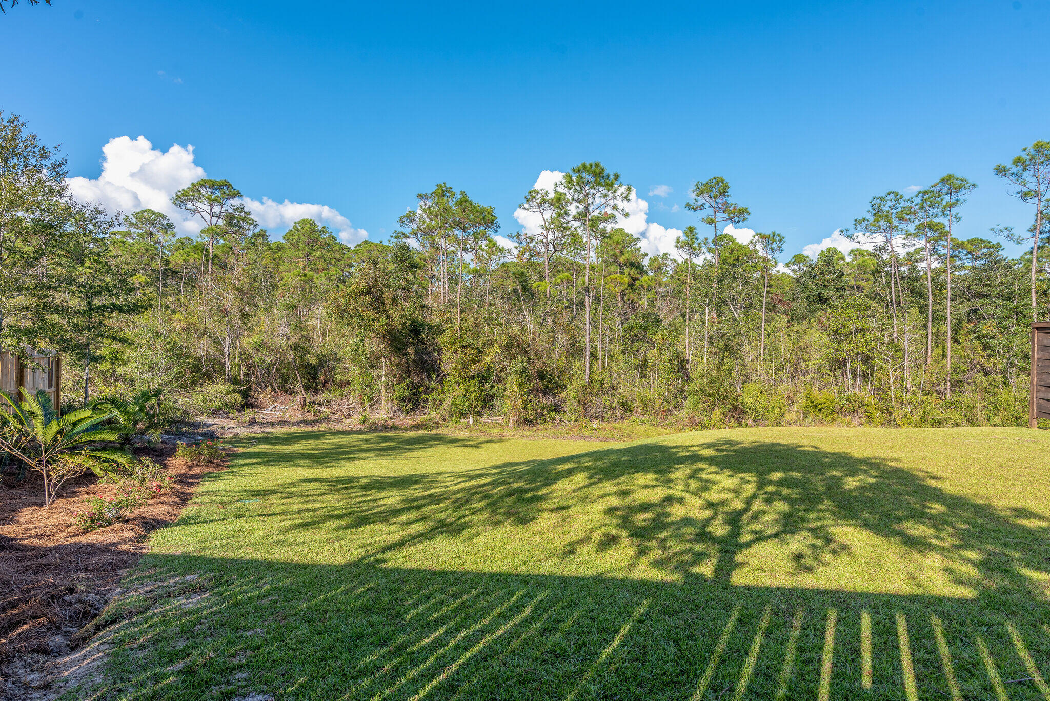 8640 Sand Pine Drive Navarre, FL 32566 - Photo 42 of 58 a view of a yard with an trees