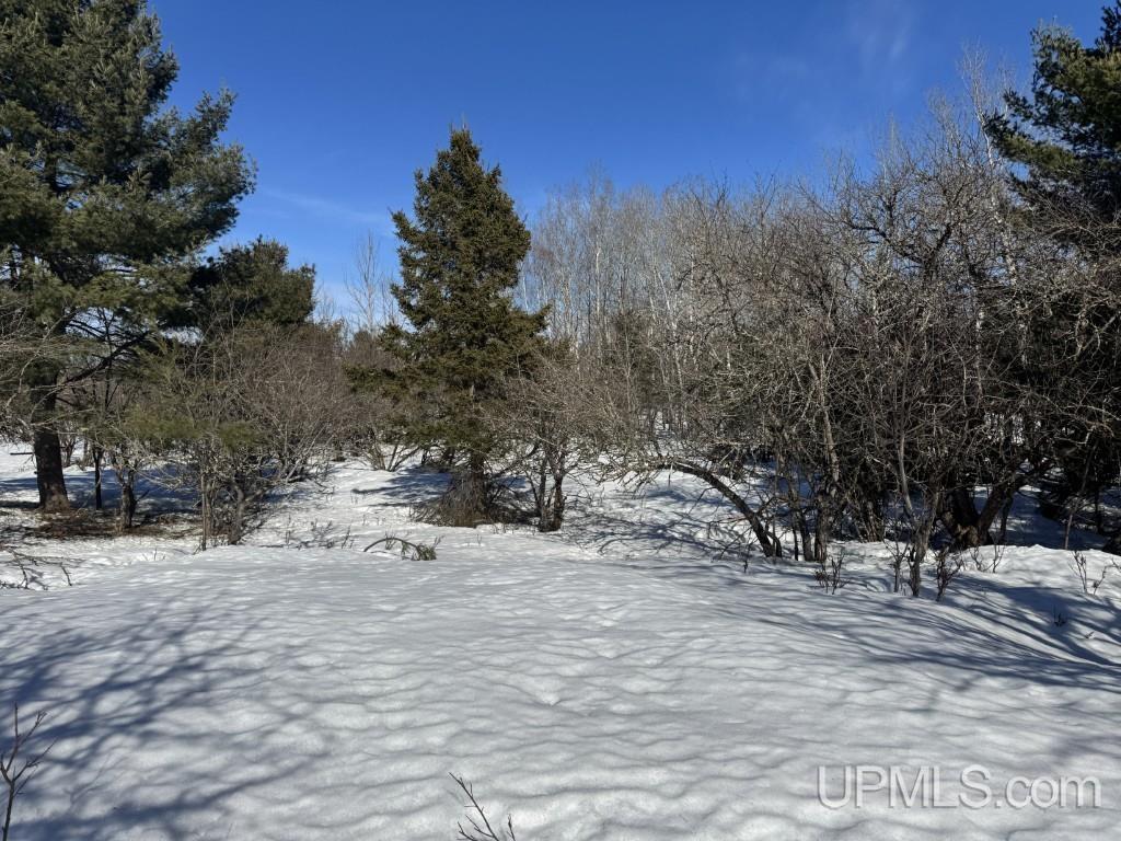 Tbd Bellaire Road Baraga, MI 49908 - Photo 10 of 20
