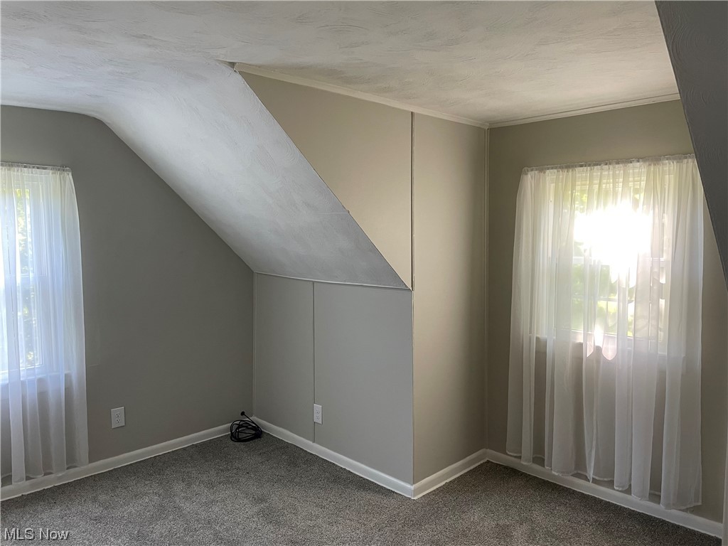 7114 Risden Road Vermilion, OH 44089 - Photo 31 of 35 Additional living space with carpet, vaulted ceiling, and a healthy amount of sunlight