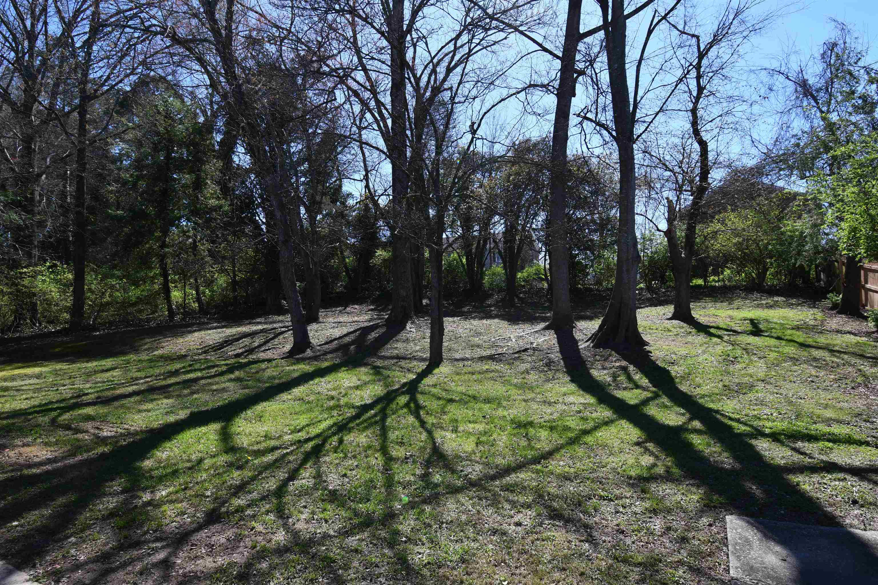 314 Rippling Stream Road Durham, NC 27704 - Photo 28 of 29 Photo 36