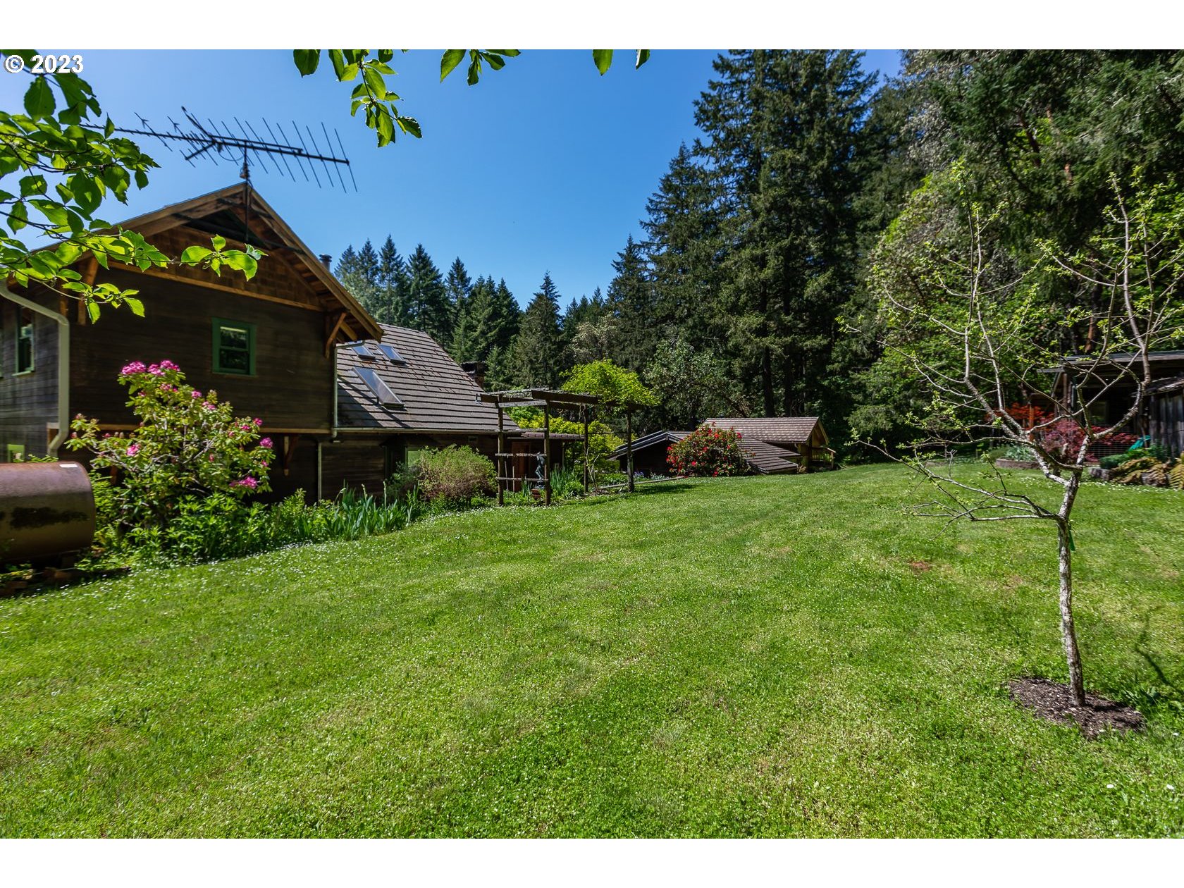 24739 Demming Ridge Road Elmira, OR 97437 - Photo 39 of 48 Backyard