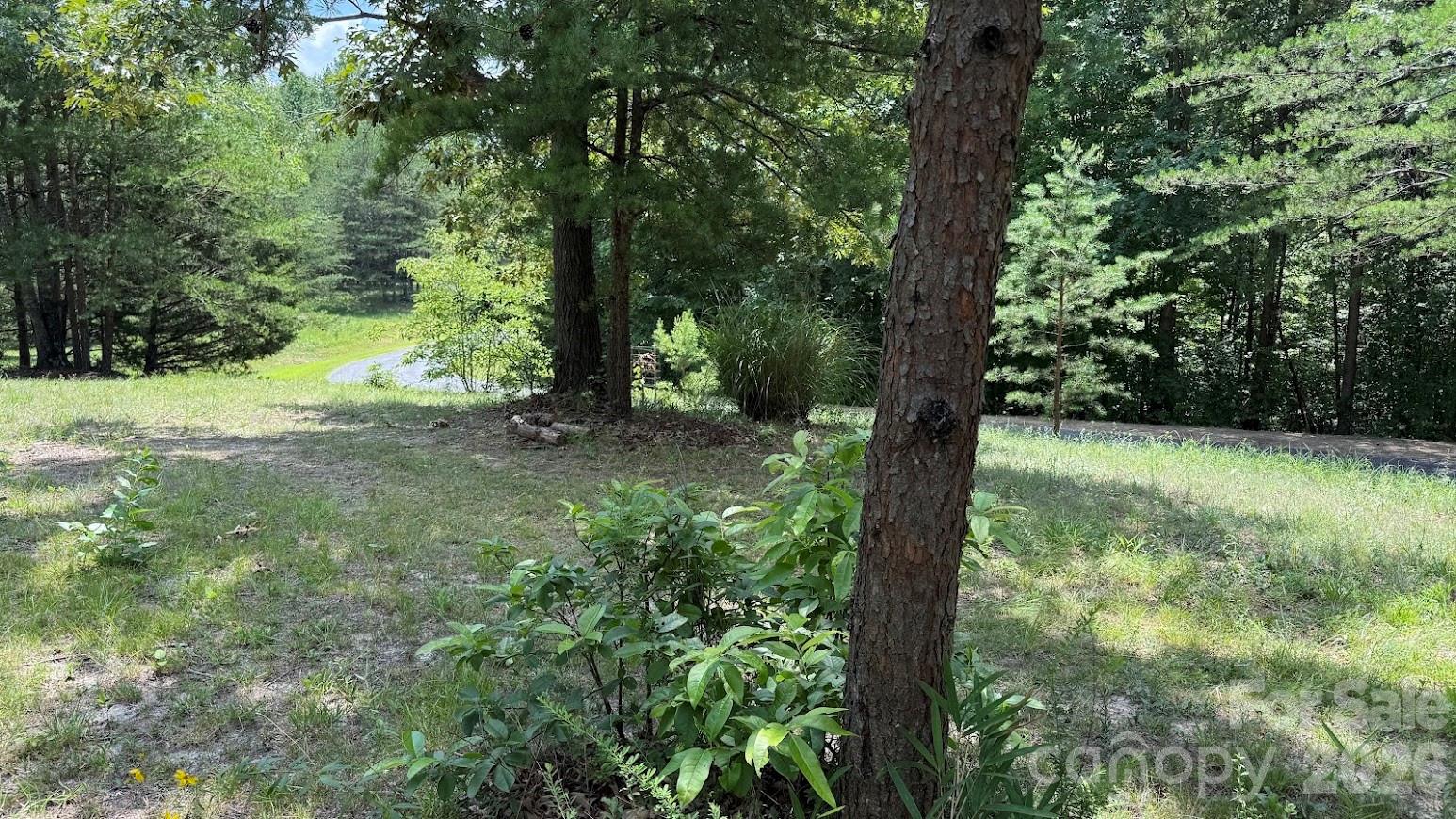 0 Fallen Tree Lane, Unit 19 Mill Spring, NC 28756 - Photo 5 of 12