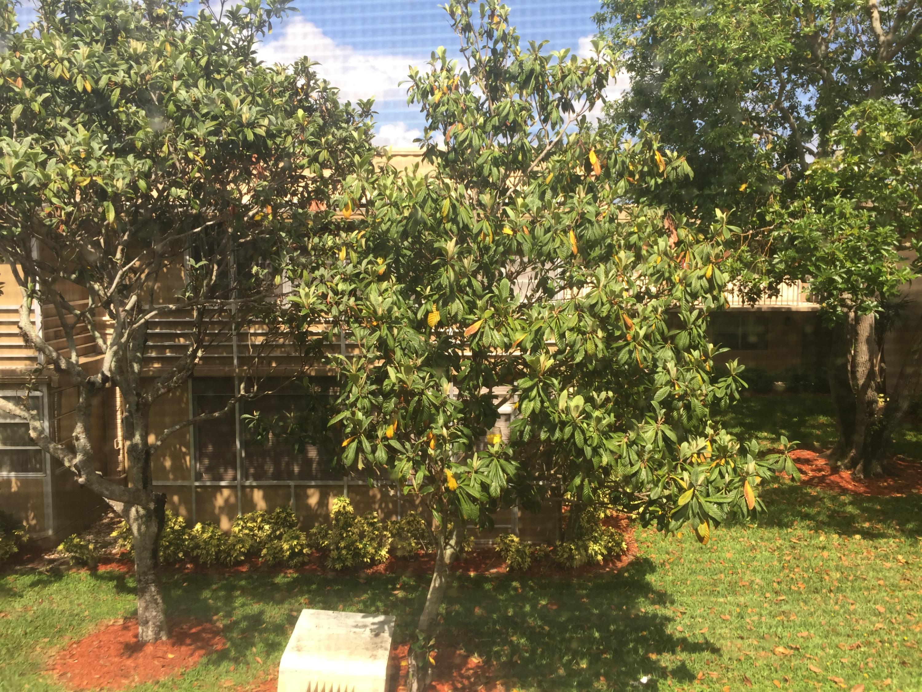 509 Monaco Way Delray Beach, FL 33446 - Photo 11 of 14 IMG_5249