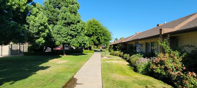 a view of a backyard with garden