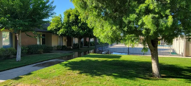 a view of a backyard with a small cabin