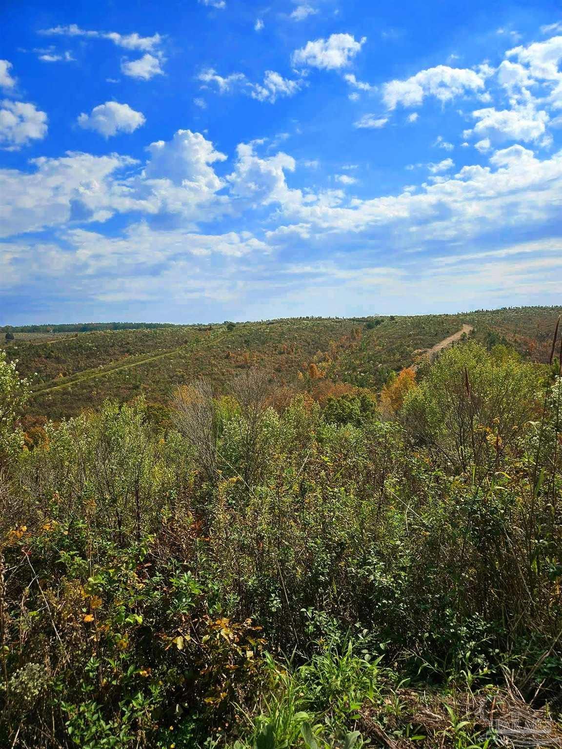 0 County Road Waterloo, AL 35677 - Photo 39 of 51 a view of an ocean