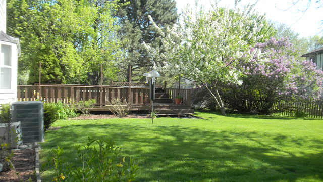 1426 Foxhill Road Naperville, IL 60563 - Photo 13 of 16