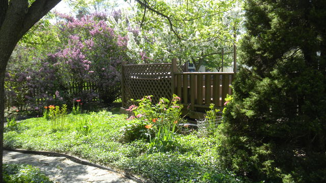 1426 Foxhill Road Naperville, IL 60563 - Photo 15 of 16