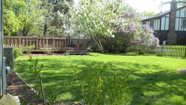 1426 Foxhill Road Naperville, IL 60563 - Photo 16 of 16