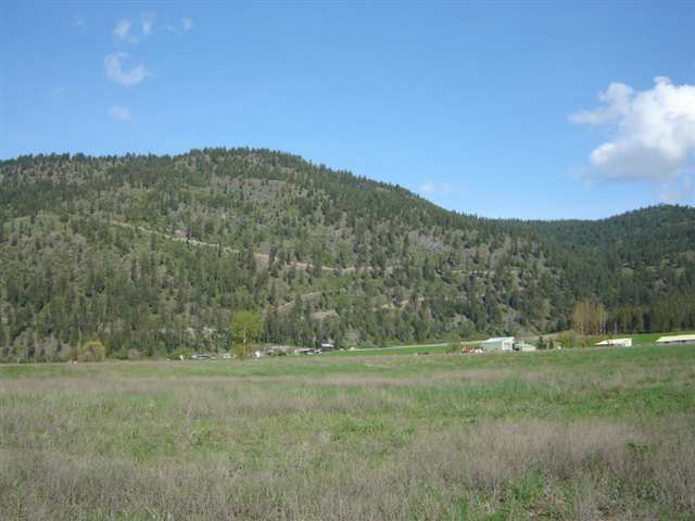 45 X Williams Lake Road Colville, WA 99114 - Photo 3 of 5