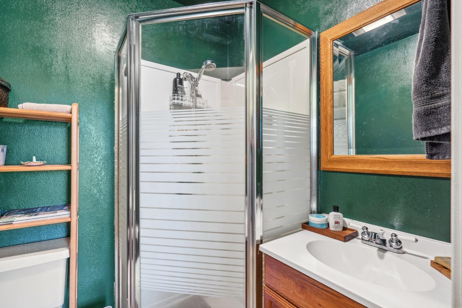 5271 Caprine Road Greenwood, CA 95635 - Photo 15 of 39 a bathroom with a sink and a mirror