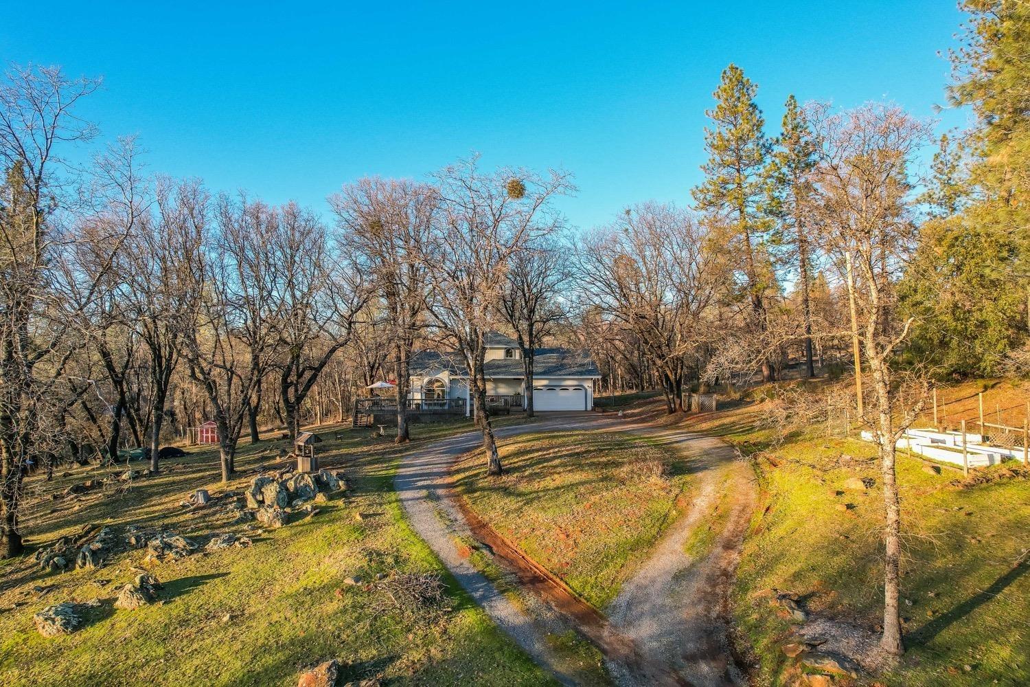 5271 Caprine Road Greenwood, CA 95635 - Photo 22 of 39 a view of a yard with trees in the background