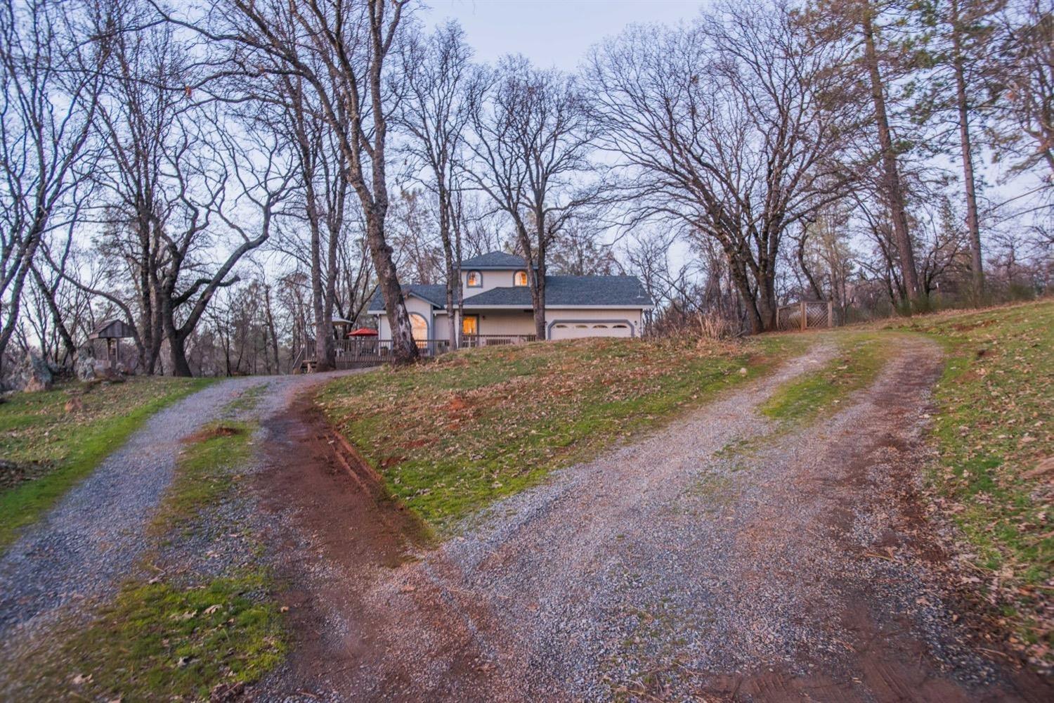 5271 Caprine Road Greenwood, CA 95635 - Photo 30 of 39 a view of yard with trees