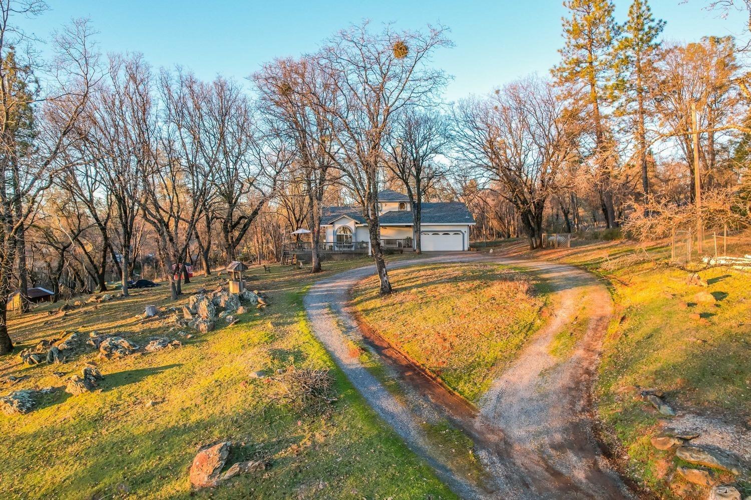 5271 Caprine Road Greenwood, CA 95635 - Photo 36 of 39 a view of yard with swimming pool and trees