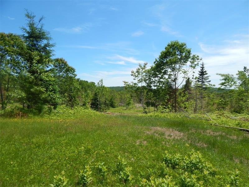 0 Thurlow Road Monroe, ME 04951 - Photo 1 of 5 Photo