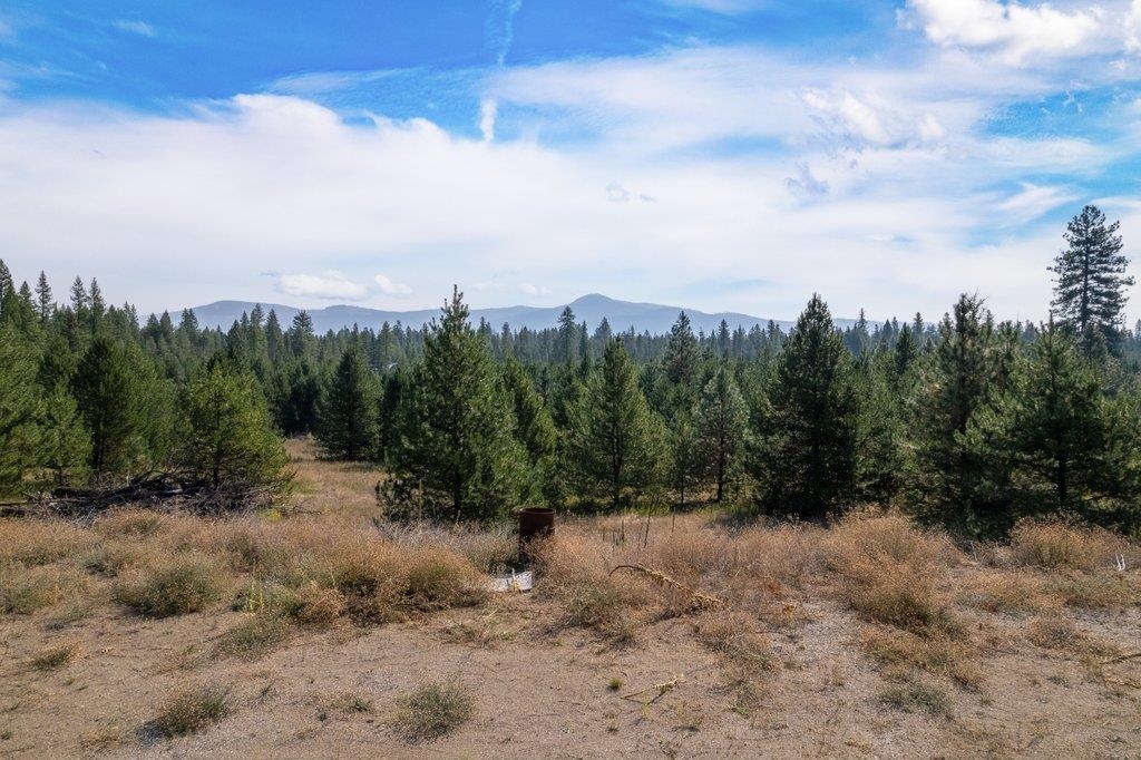 3692 Spring Valley Road Newport, WA 99156 - Photo 15 of 23