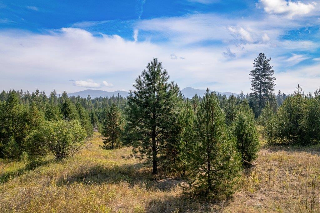 3692 Spring Valley Road Newport, WA 99156 - Photo 16 of 23