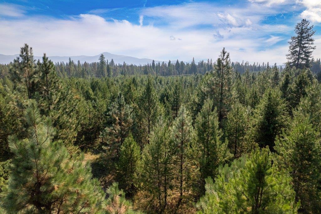 3692 Spring Valley Road Newport, WA 99156 - Photo 23 of 23