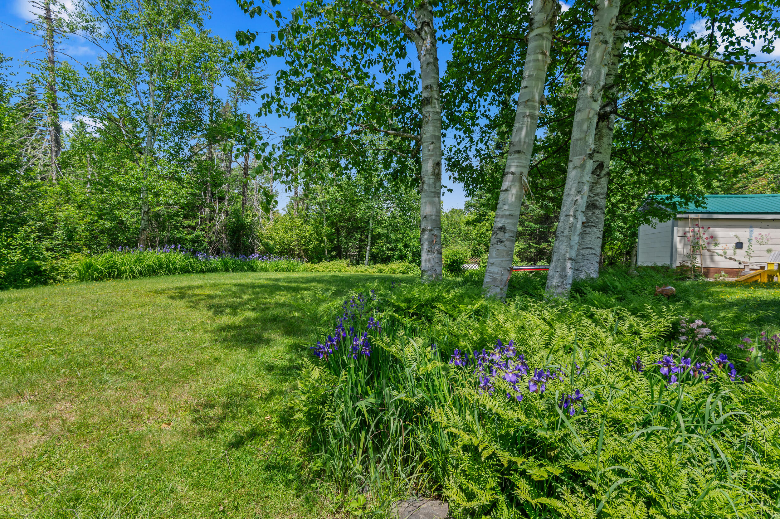 574 Mingo Loop Road Rangeley, ME 04970 - Photo 6 of 65 _JRV4858