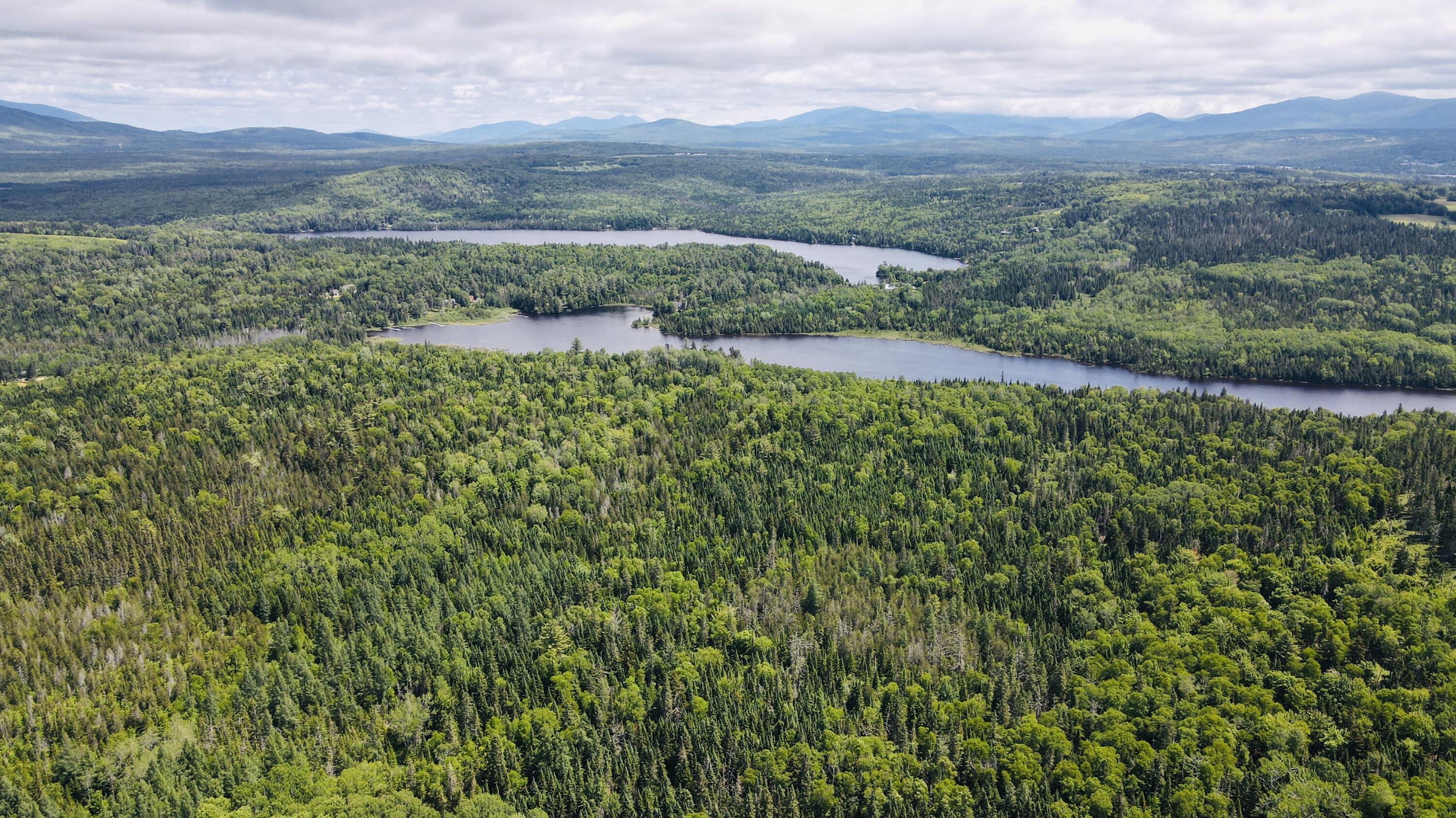 574 Mingo Loop Road Rangeley, ME 04970 - Photo 61 of 65 dji_fly_20250618_114350_707_175026151238