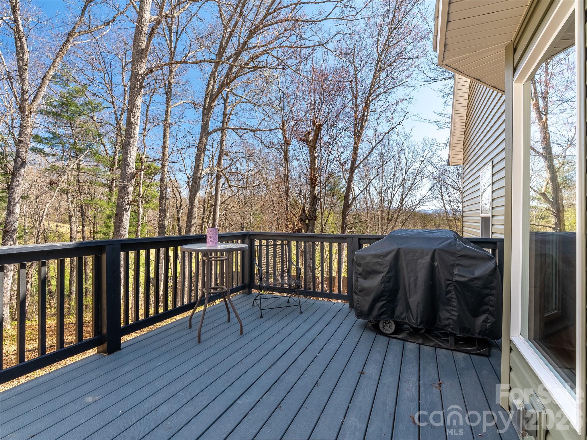 6 Jackson Cove Leicester, NC 28748 - Photo 19 of 48
