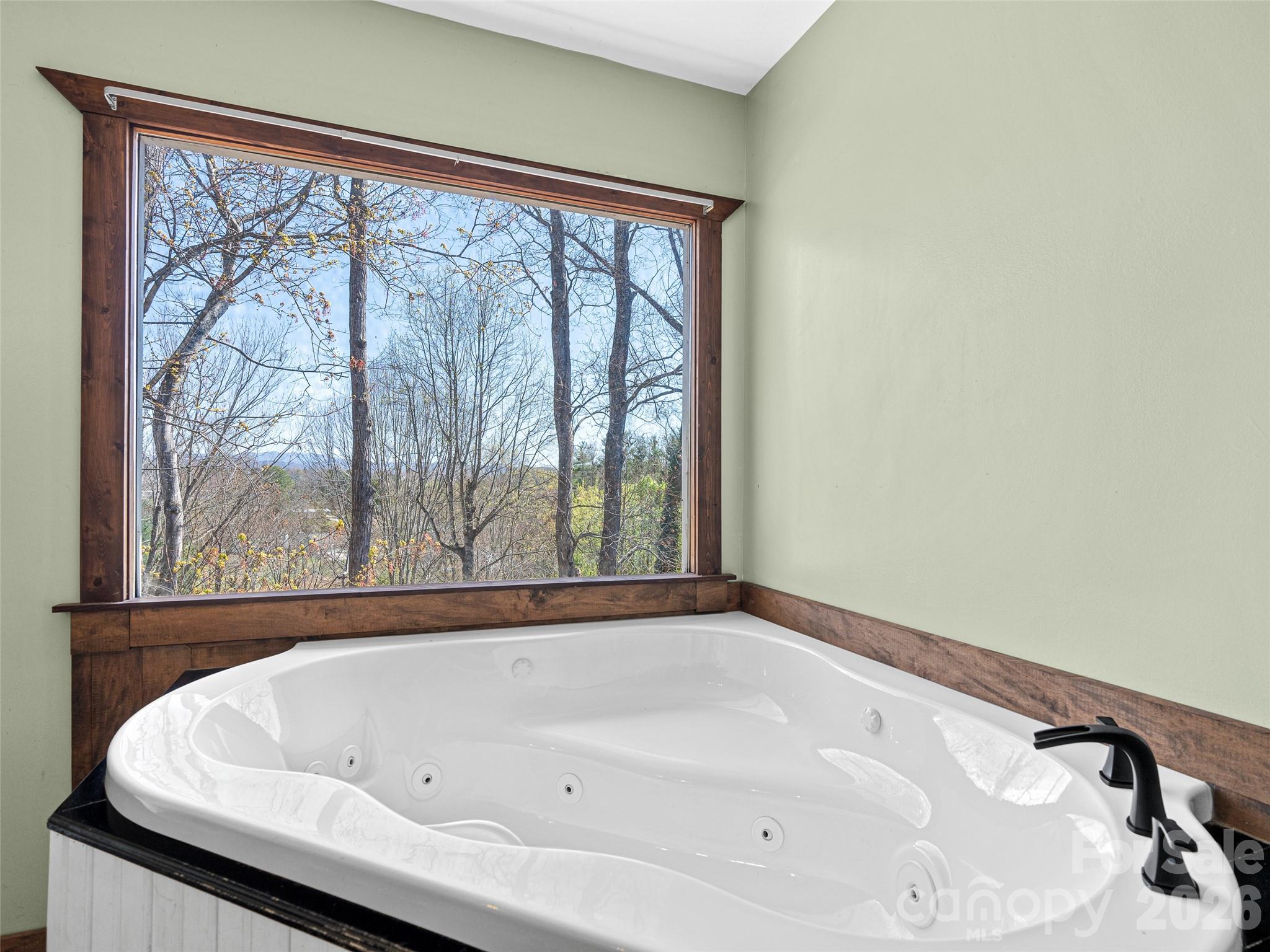 6 Jackson Cove Leicester, NC 28748 - Photo 39 of 48
