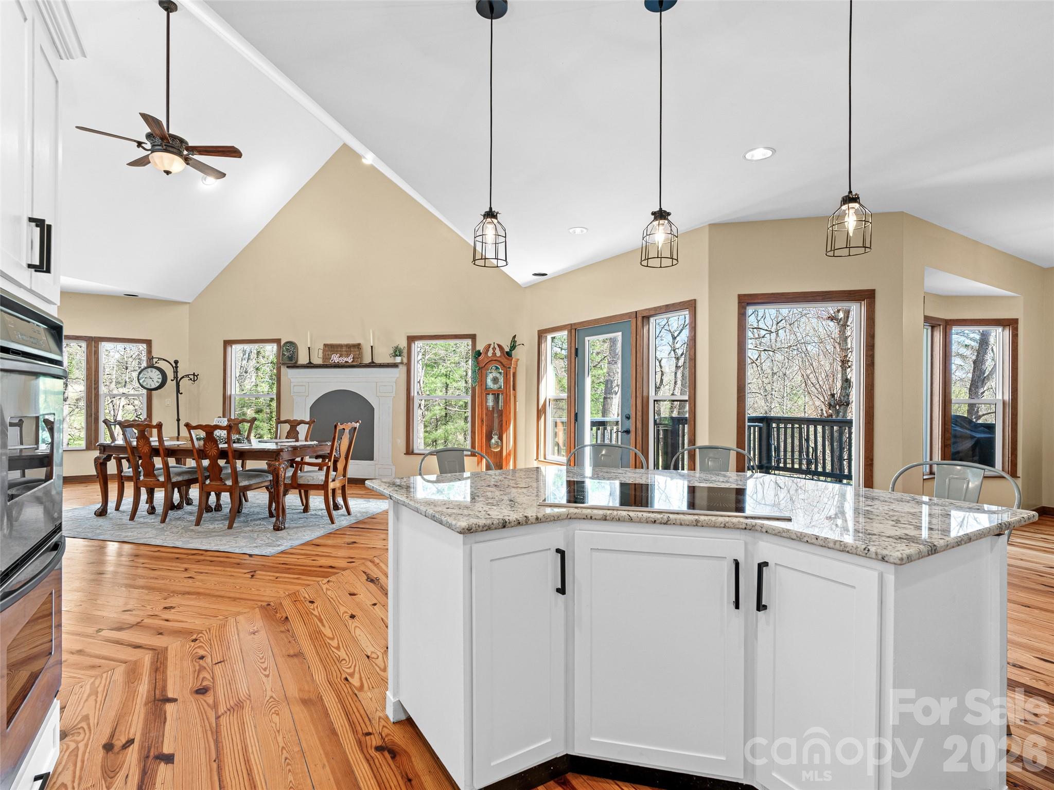 6 Jackson Cove Leicester, NC 28748 - Photo 6 of 48
