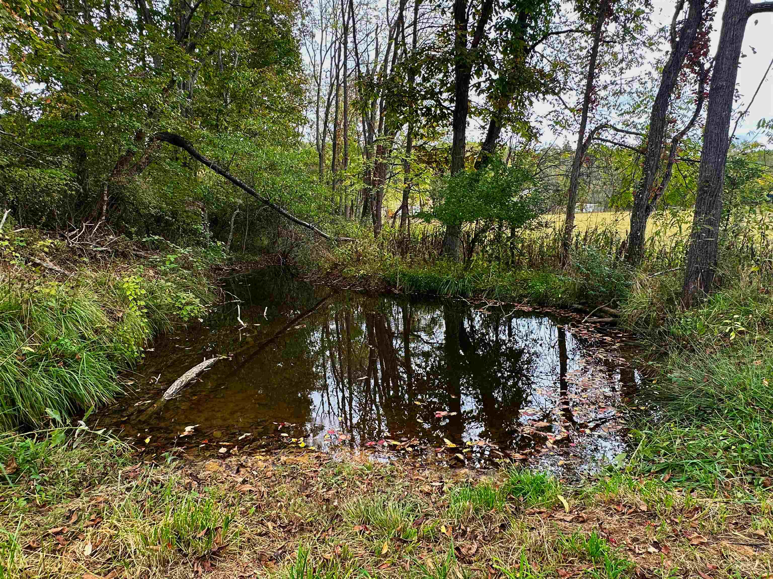 3565-3563 Big Branch Road Riner, VA 24149 - Photo 46 of 59 Gallery Image 46