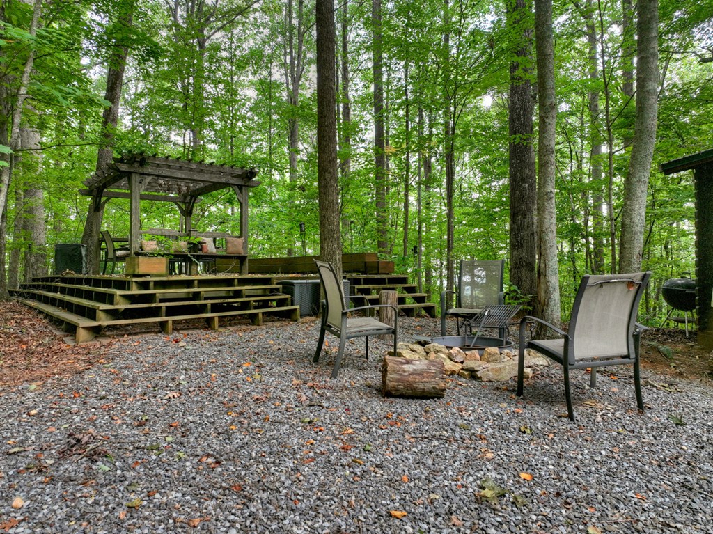 541 Little Bushy Head Road Blue Ridge, GA 30513 - Photo 6 of 45 Gallery Image 6