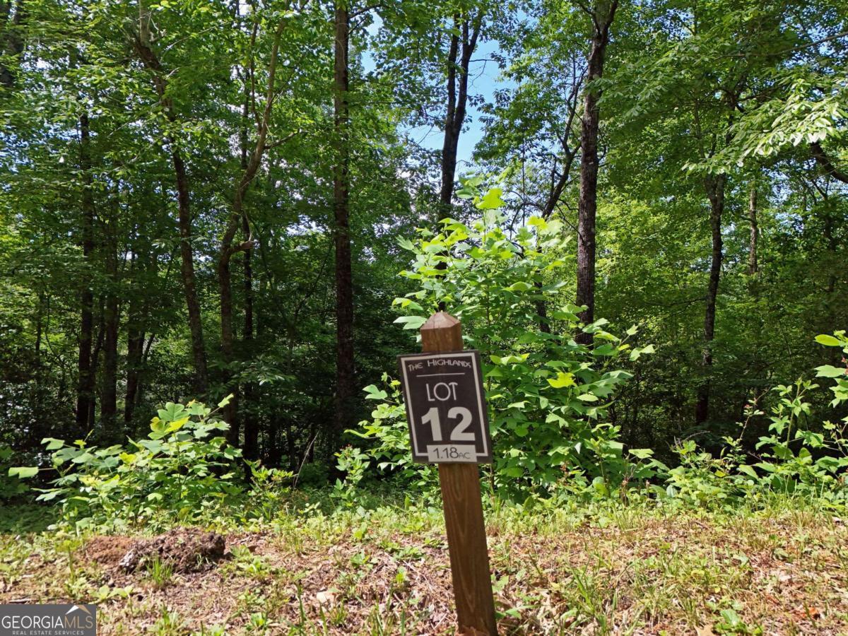 Lot 12 Hightower Ridge Hiawassee, GA 30546 - Photo 10 of 23