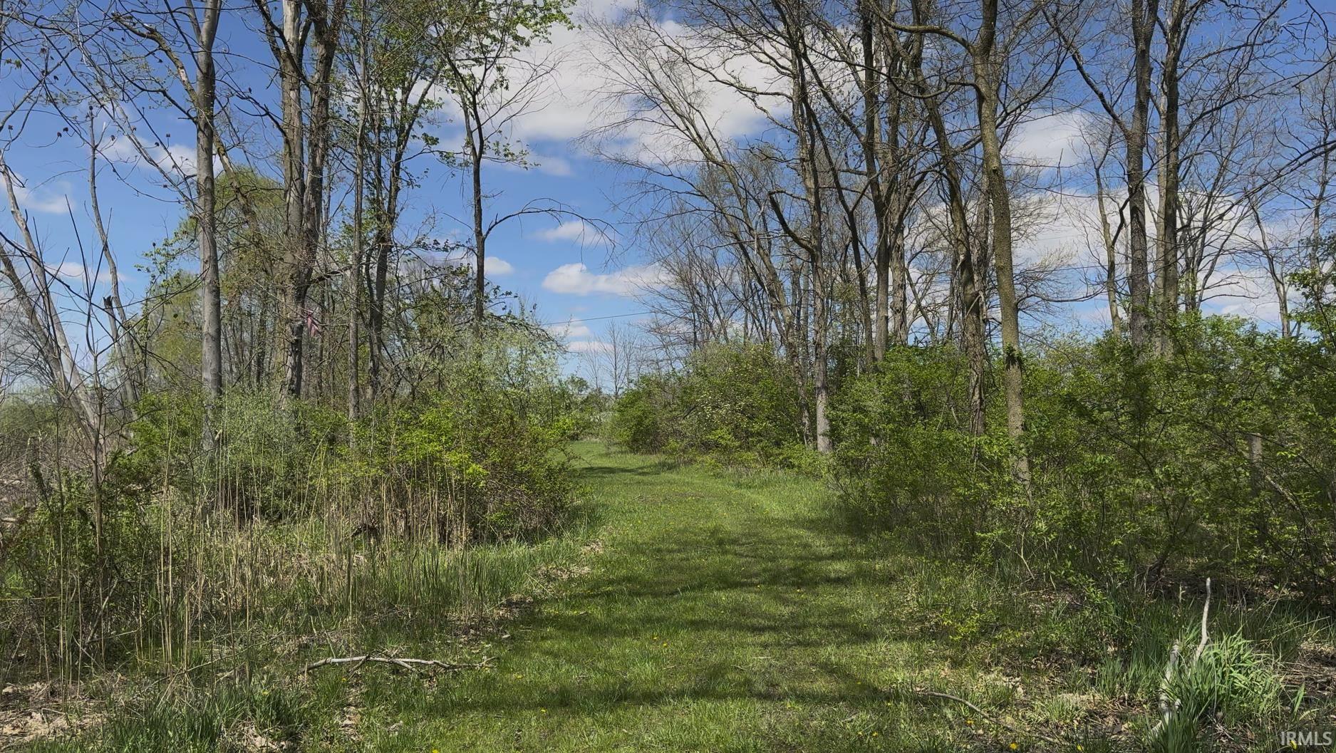 6848 North W County Line Road Fort Wayne, IN 46818 - Photo 13 of 20