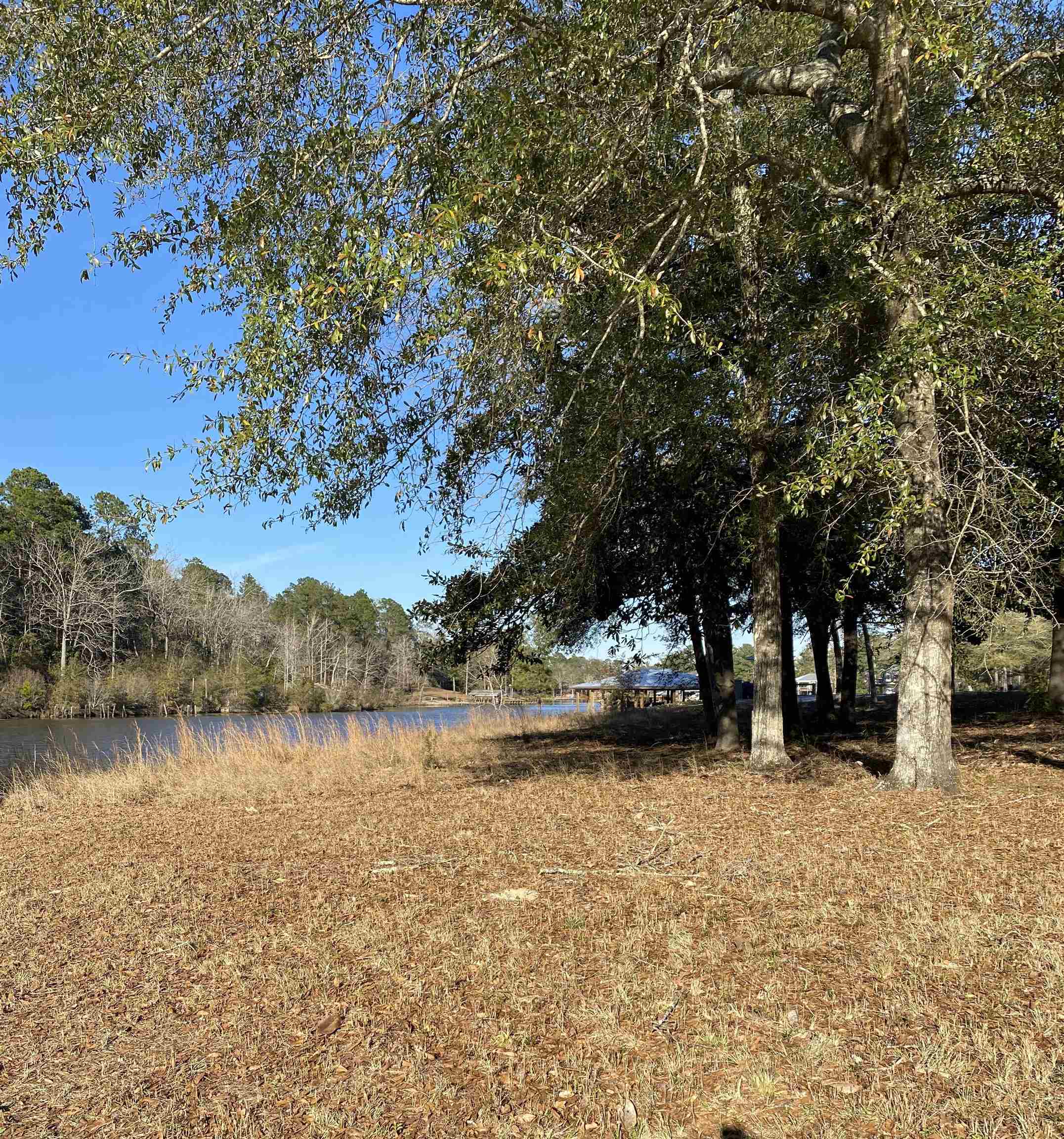 Lot 25 Magnolia Pointe Road Evergreen, AL 36401 - Photo 8 of 12 Gallery Image 8
