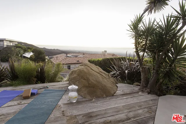 a view of a swimming pool with some potted plants