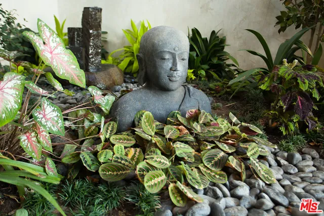 a plant with lots of trees