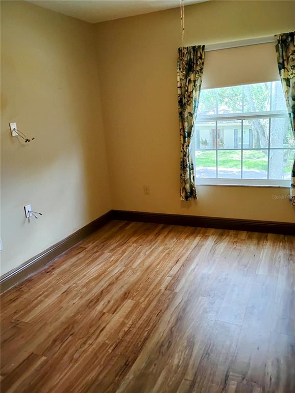 11721 Raintree Drive Tampa, FL 33617 - Photo 7 of 12 a view of room with window and wooden floor