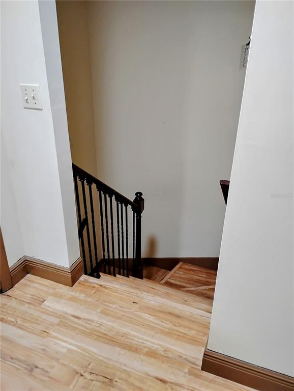 11721 Raintree Drive Tampa, FL 33617 - Photo 10 of 12