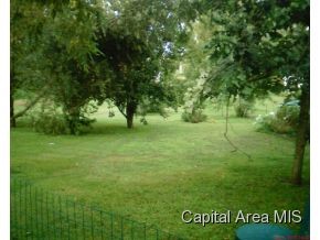 321 East Myrtle Street Virginia, IL 62691 - Photo 6 of 9 Gallery Image 6